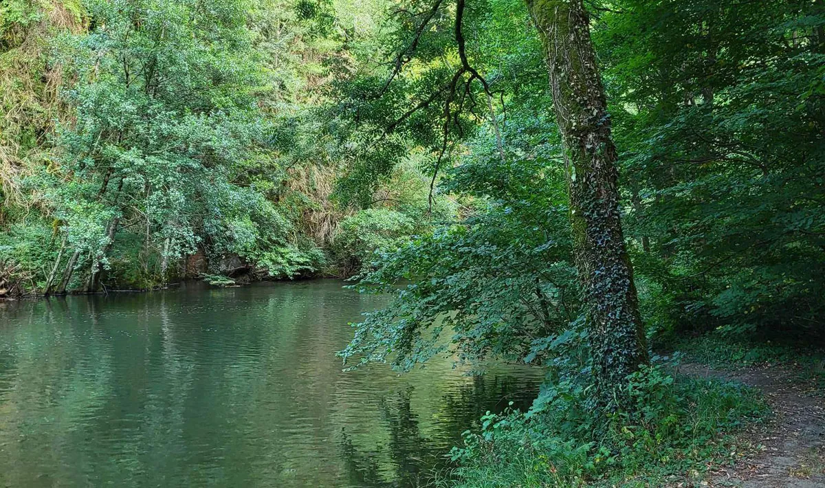 Camping Le Bois Flottant Midi-Pyrénées - Lacrouzette visuel 5/7