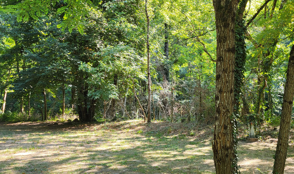 Le Bois Flottant Midi-Pyrénées - Lacrouzette visuel 3/7 Le Bois Flottant Midi-Pyrénées - Lacrouzette visuel 3/7