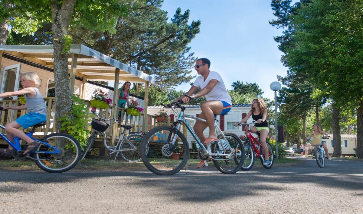 Le Bois Masson Pays de Loire - Saint-Jean-de-Monts visuel 11/23