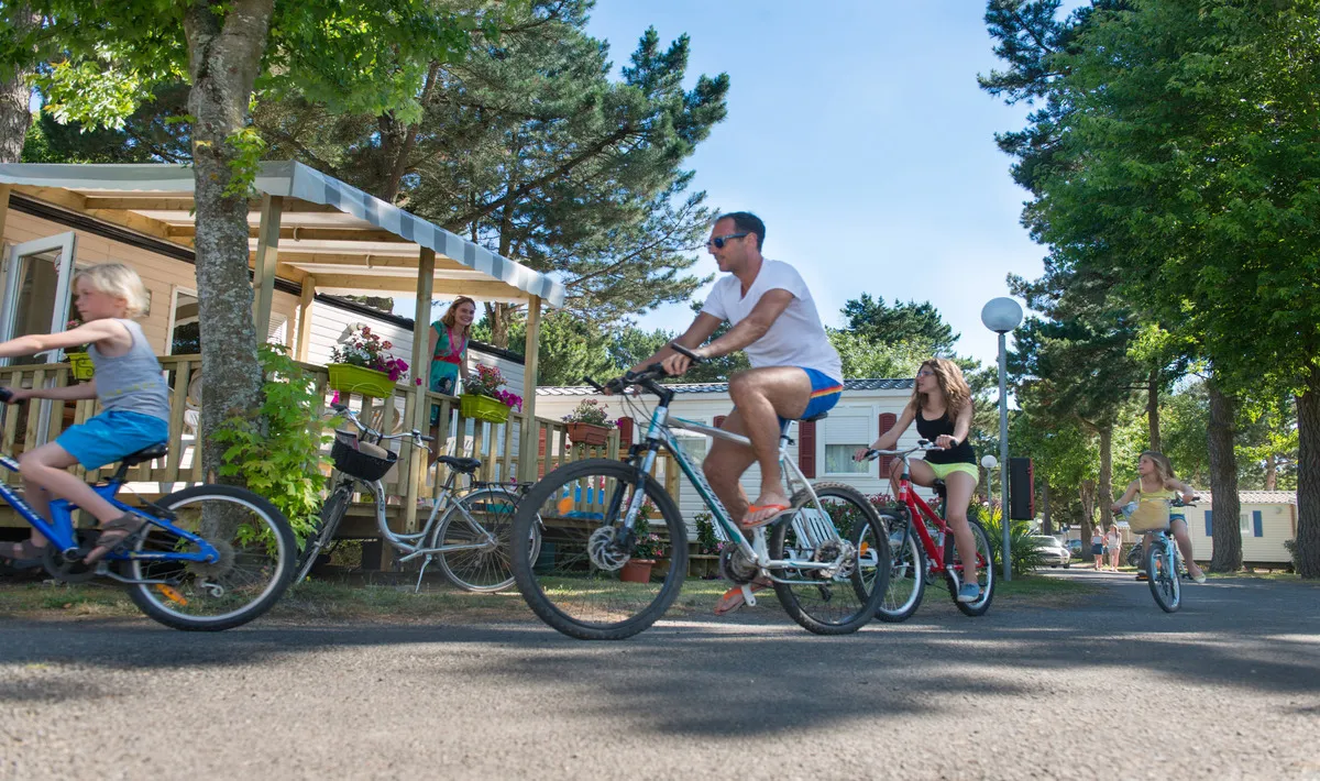 Camping Le Bois Masson Pays de Loire - Saint-Jean-de-Monts visuel 11/23