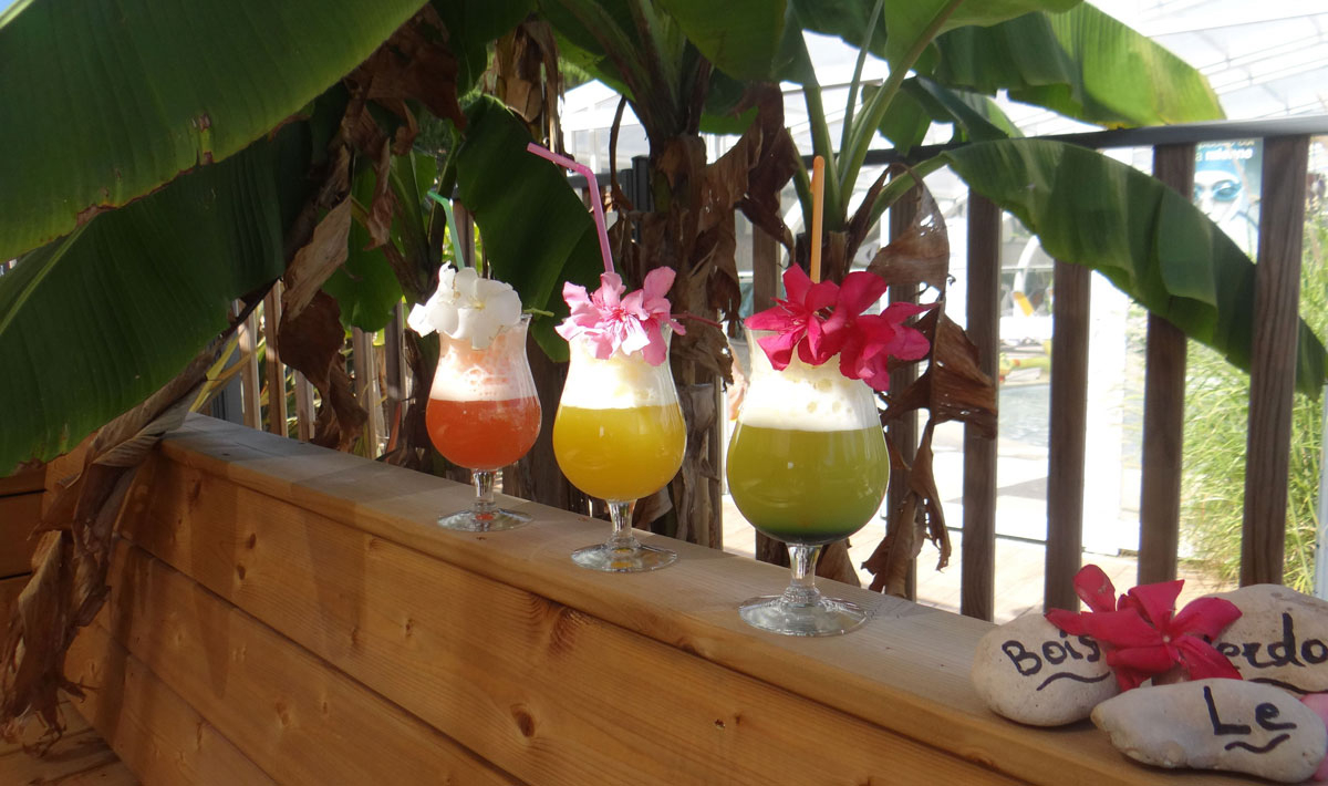 Le Bois Verdon Pays de Loire - Saint-Jean-de-Monts visuel 10/20