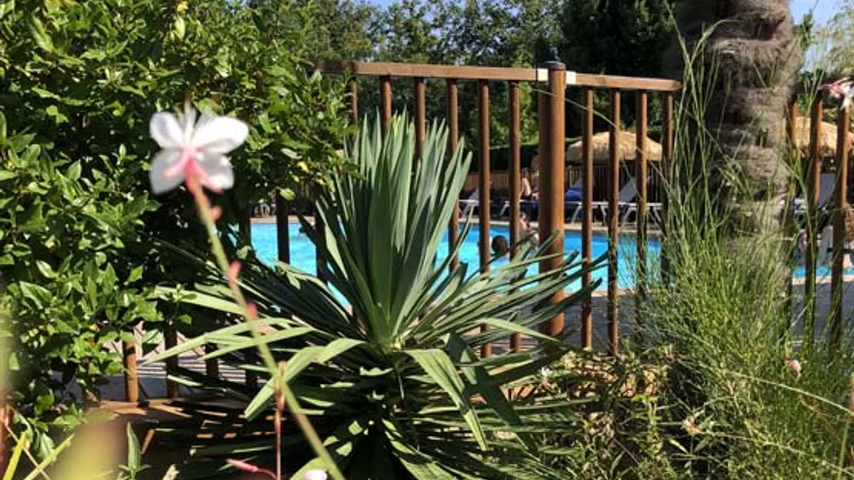 Camping Le Bon Coin Aquitaine - Hourtin visuel 15/19