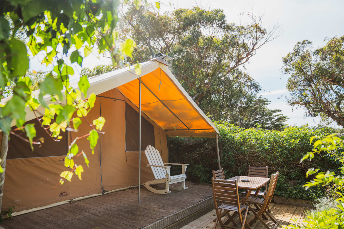 Le Clair de Lune Provenza-Alpi-Costa Azzurra - Hyères visuel 11/23