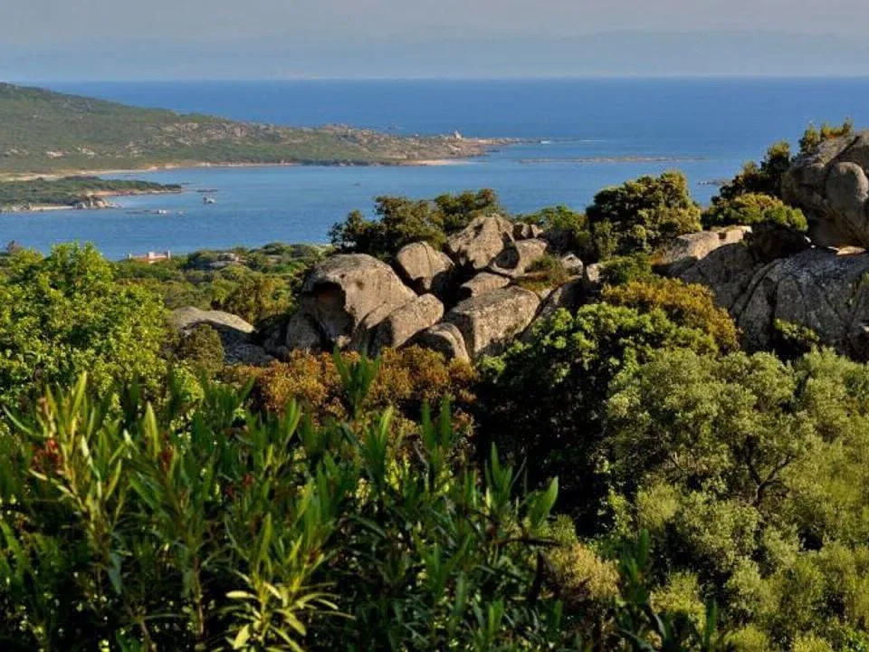 Camping Le Damier Corse - Pianotolli-Caldarello visuel 5/13