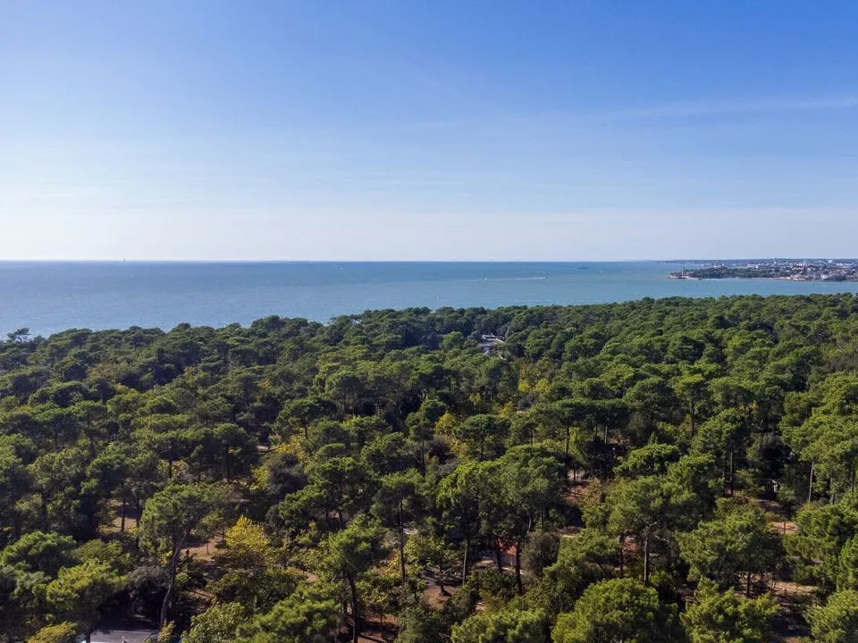 Camping Le Dauphin Poitou-Charentes - Saint-Georges-de-Didonne visuel 11/12