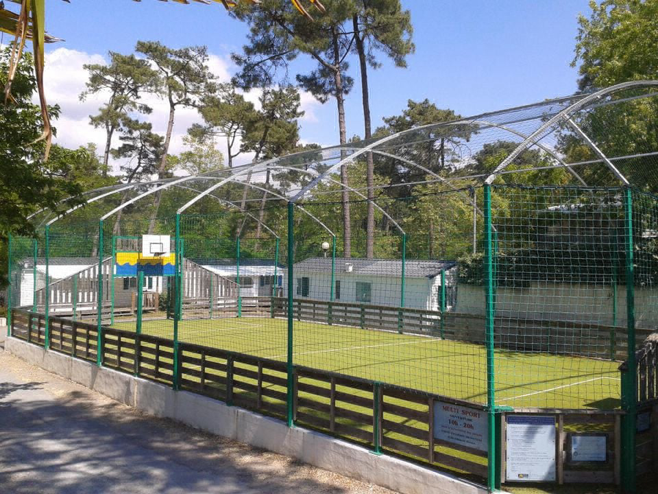 Le Dauphin Poitou-Charentes - Saint-Georges-de-Didonne visuel 8/12