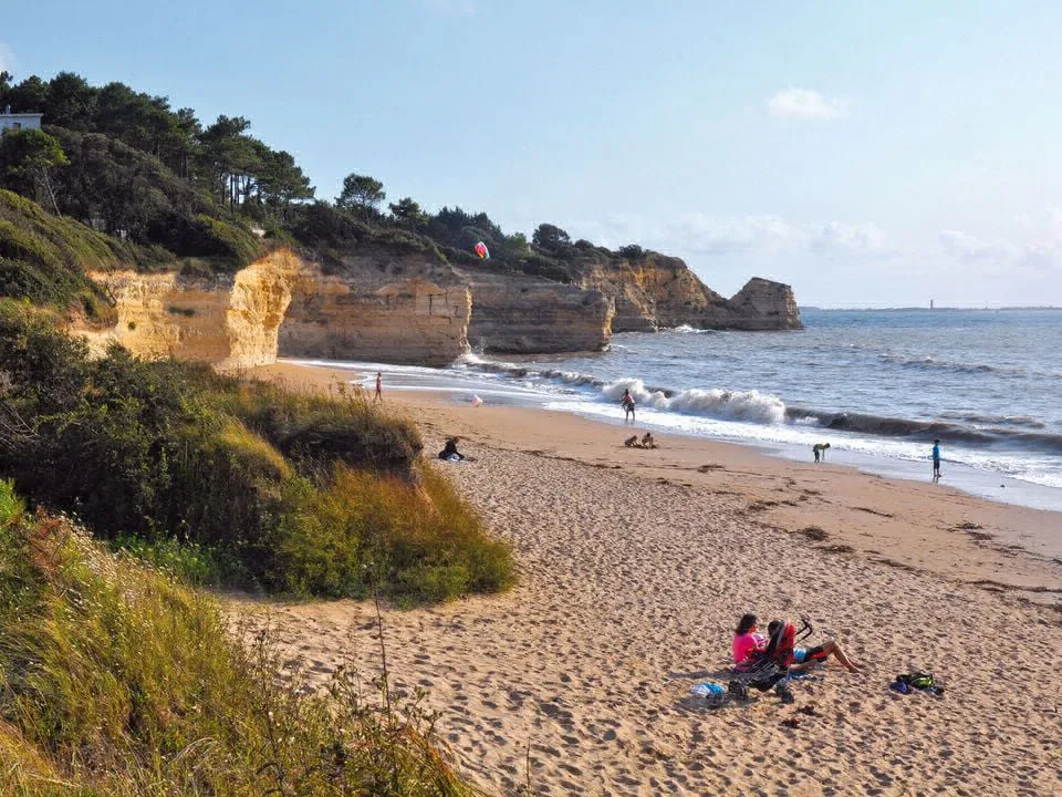 Camping Le Dauphin Poitou-Charentes - Saint-Georges-de-Didonne visuel 12/12
