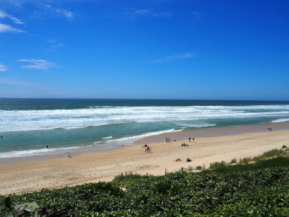 Le Lou Broustaricq Aquitaine - Sanguinet visuel 13/13