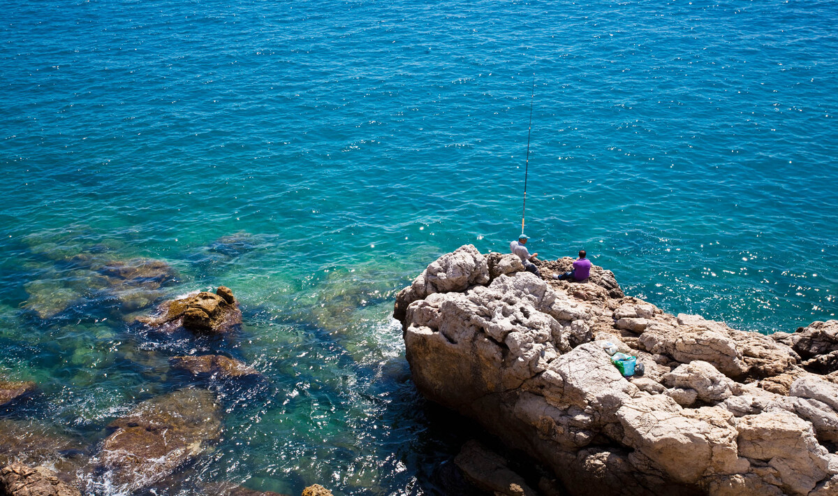 Le Montourey Provence-Alpes-Côte d'Azur - Fréjus visuel 15/15