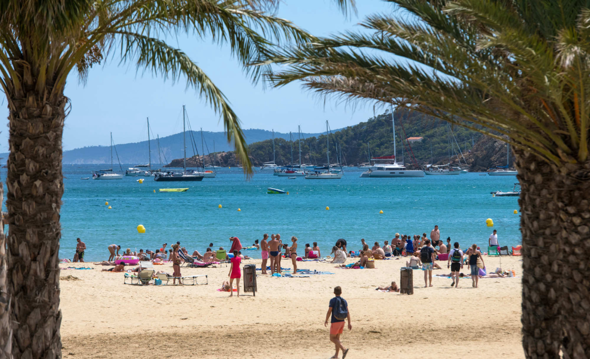 Le Parc de Bormes Provence-Alpes-Côte d'Azur - Bormes-les-Mimosas visuel 8/8