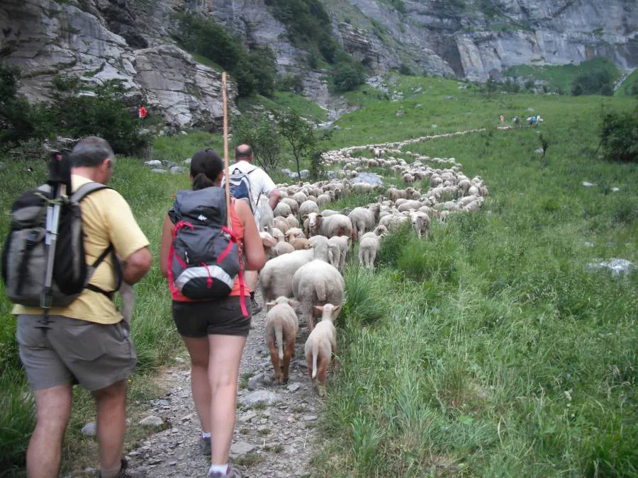 Camping Le Pelly Rhône-Alpes - Sixt-Fer-à-Cheval visuel 2/3