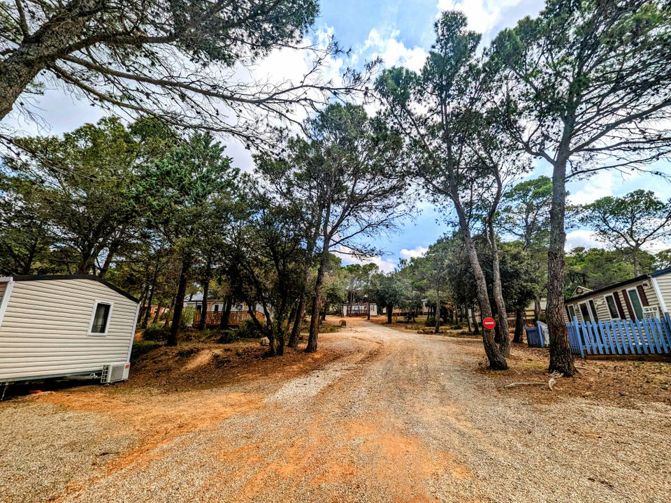 Le Pinada Languedoc-Roussillon - Fabrezan visuel 4/7