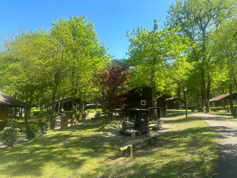 Camping Le Relais du Leman Rhône-Alpes - Messery visuel 4/23