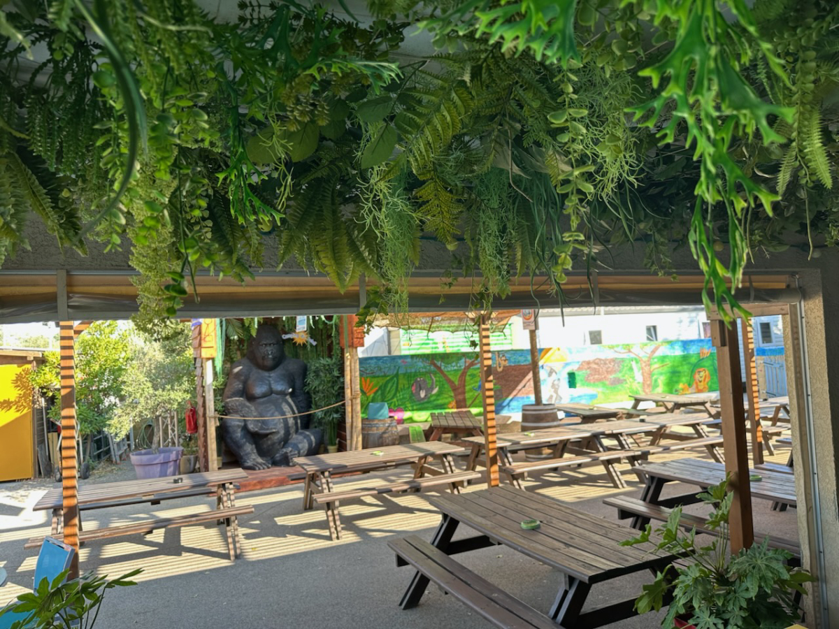 Le Soleil Languedoc-Roussillon - Le Grau-du-Roi visuel 1/2