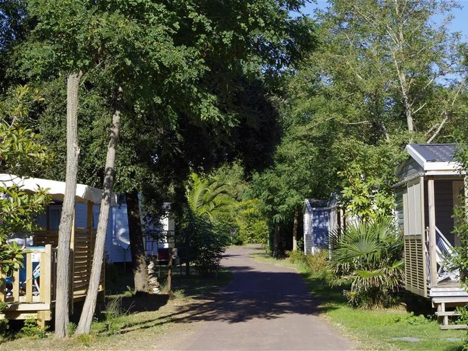 Camping Le Sous Bois Poitou-Charentes - Saint-Pierre-d'Oléron visuel 4/11