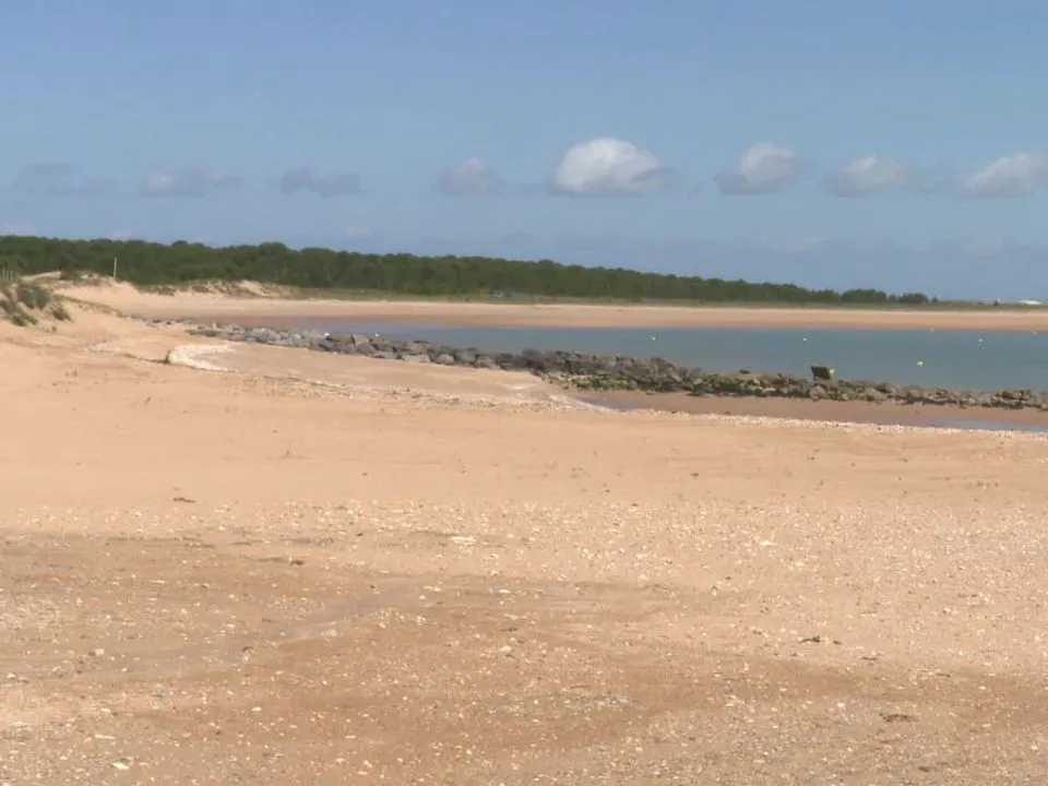 Camping Le Sous Bois Poitou-Charentes - Saint-Pierre-d'Oléron visuel 9/11