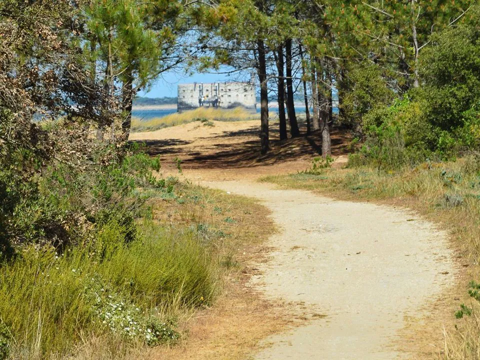 Camping Le Sous Bois Poitou-Charentes - Saint-Pierre-d'Oléron visuel 10/11