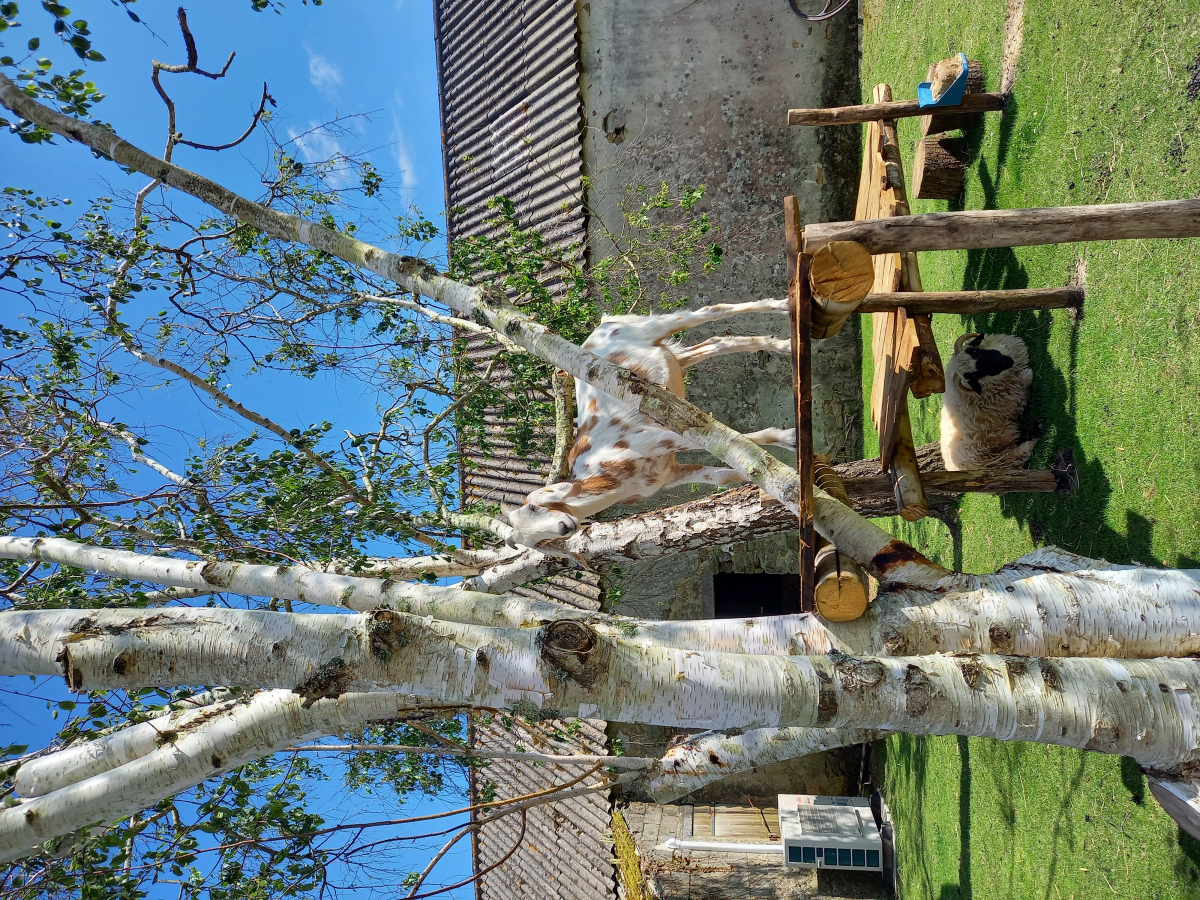 Le Vieux Verger-Ty Noul Bretagne - Névez visuel 5/6