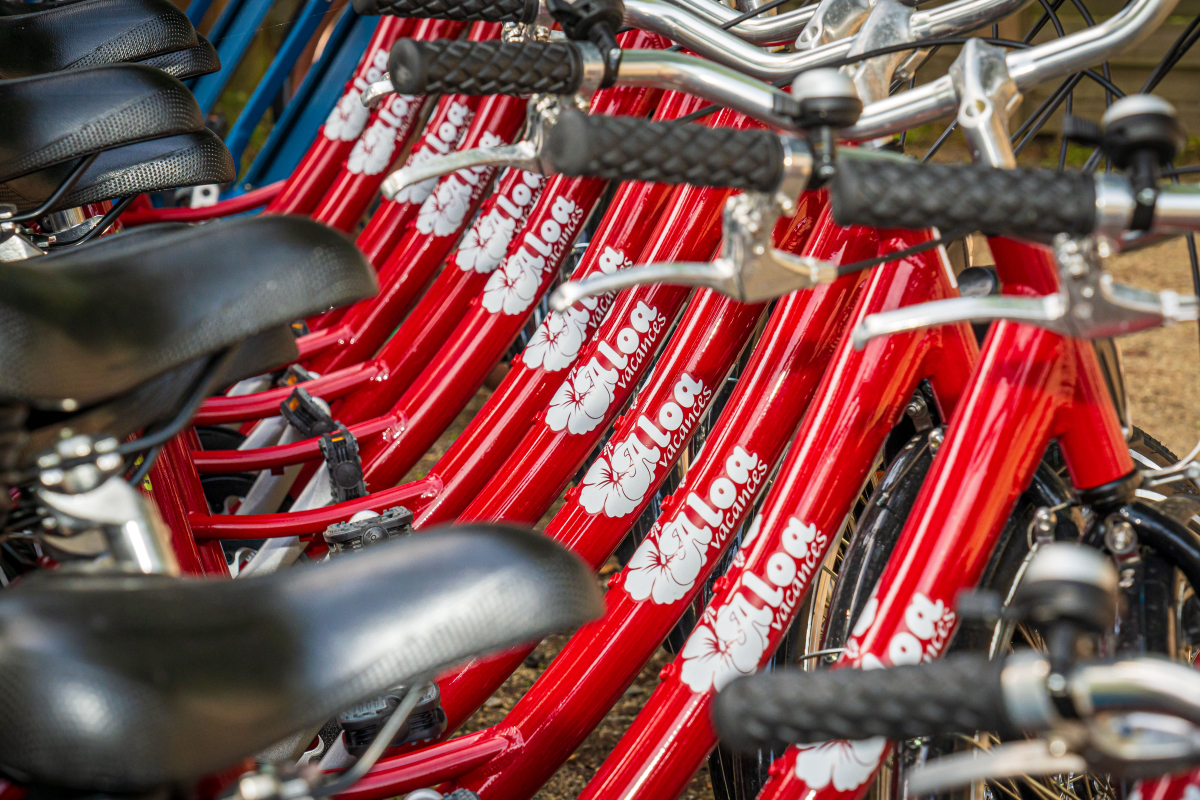Les Ajoncs d'Or Pays de Loire - La Baule-Escoublac visuel 35/37