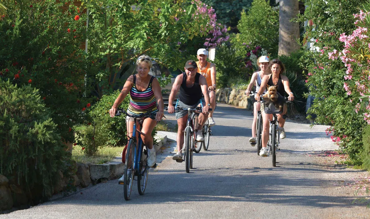 Camping Les Albères Languedoc-Roussillon - Laroque-des-Albères visuel 10/41