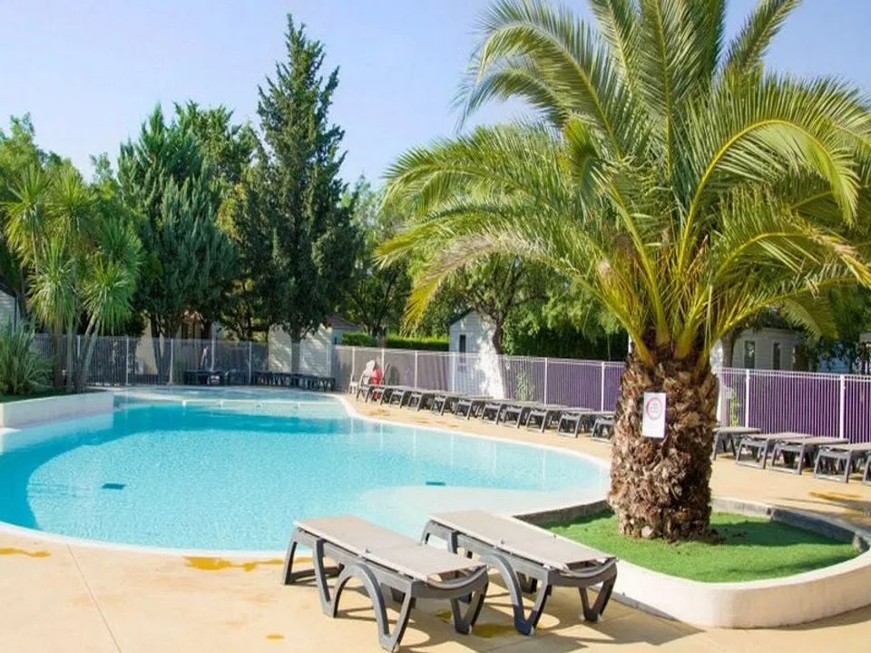 Camping Les Amandiers Languedoc-Roussillon - Gallargues le Montueux visuel 4/13
