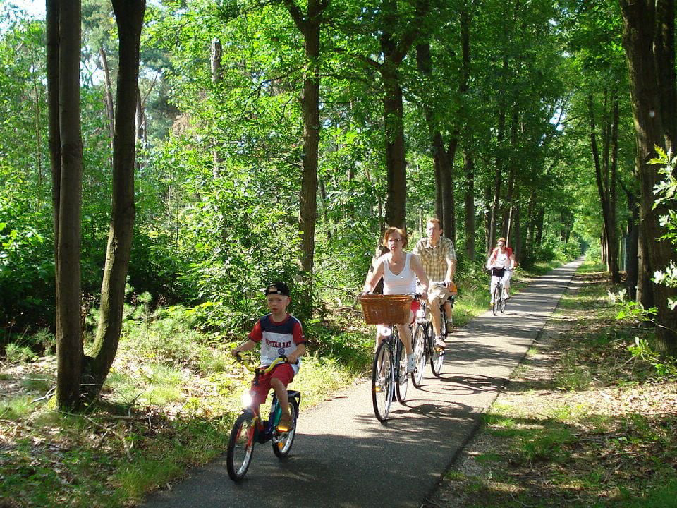 Les Amandiers Languedoc-Roussillon - Gallargues le Montueux visuel 11/13