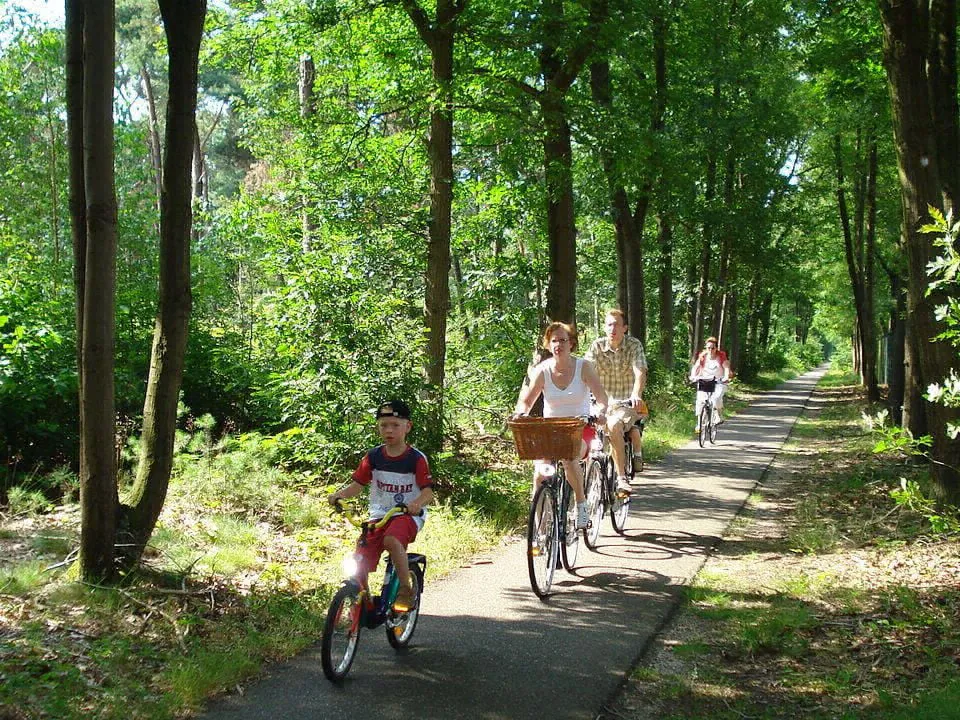 Camping Les Amandiers Languedoc-Roussillon - Gallargues le Montueux visuel 11/13