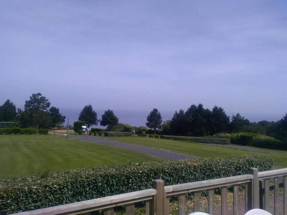 Les Ammonites Basse-Normandie - Auberville visuel 4/5 Les Ammonites Basse-Normandie - Auberville visuel 4/5