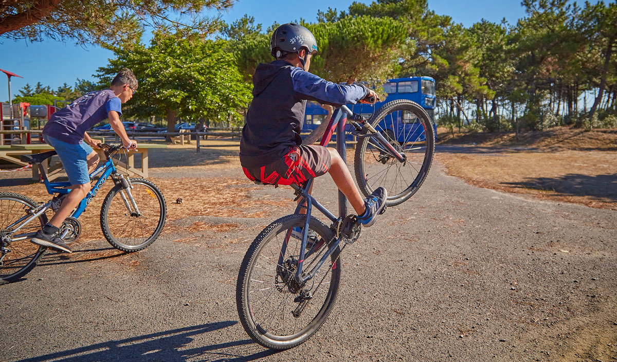Les Chardons Bleus Pays de Loire - La Turballe visuel 26/28