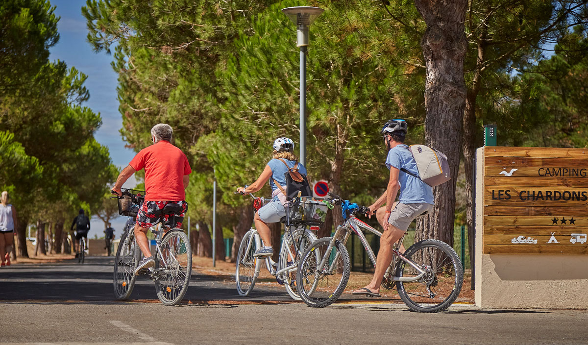 Les Chardons Bleus Pays de Loire - La Turballe visuel 18/28