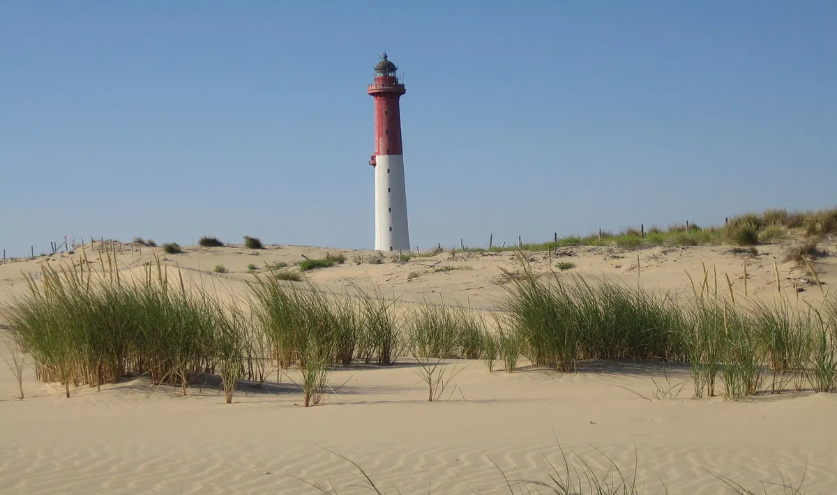 Camping Les Charmettes Poitou-Charentes - Les Mathes-La Palmyre visuel 22/22
