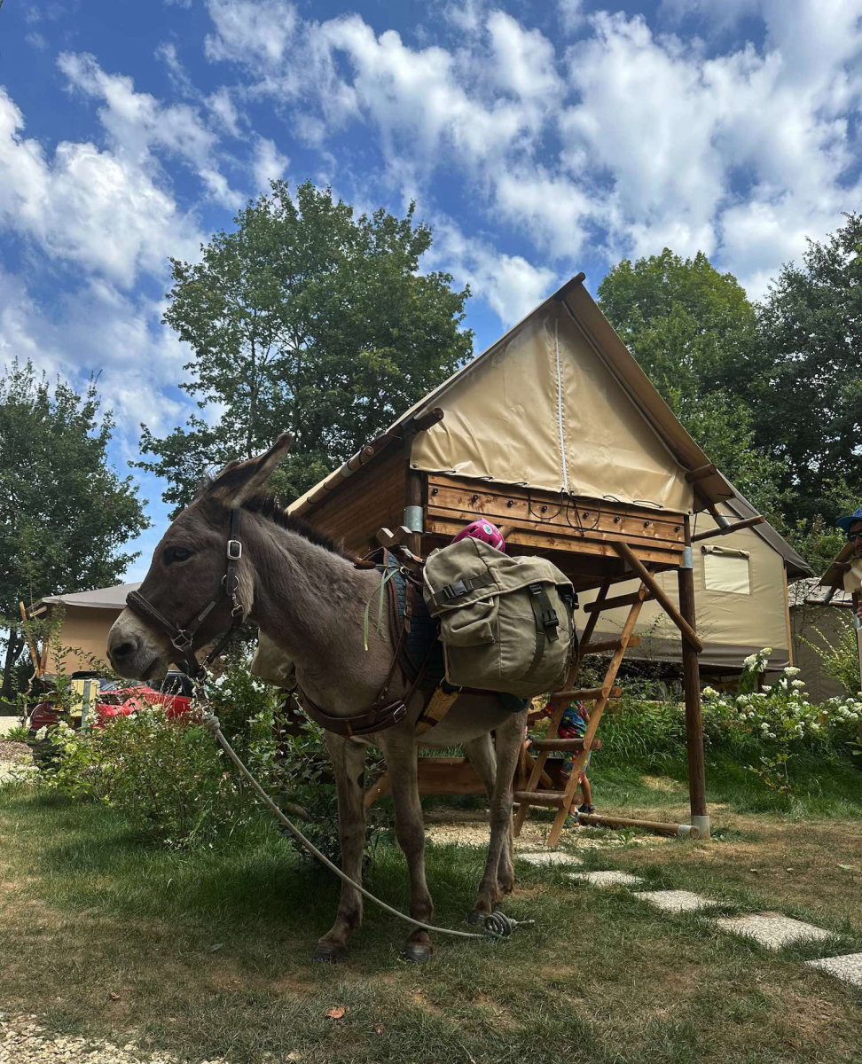 La Cabane Aquitania - Vézac visuel 15/26