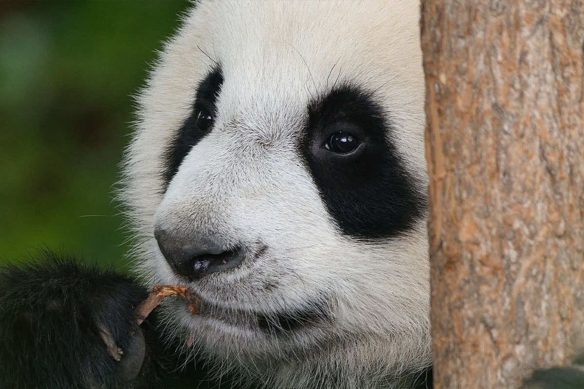 Les Coteaux du Lac Grand Centre - Chemillé-sur-Indrois visuel 29/31