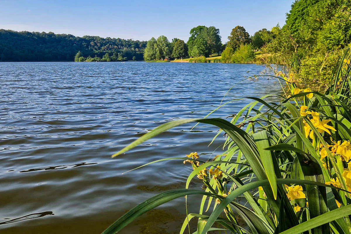 Camping Les Coteaux du Lac Grand Centre - Chemillé-sur-Indrois visuel 8/31