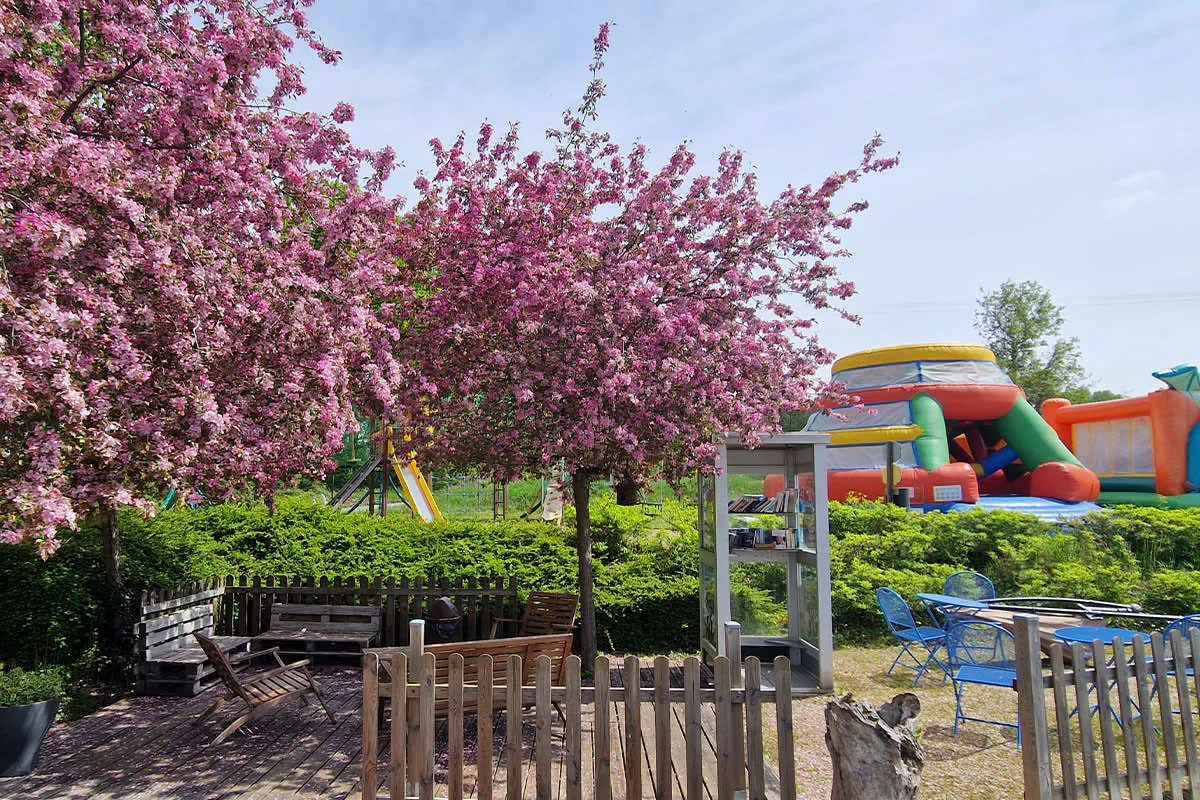 Camping Les Coteaux du Lac Grand Centre - Chemillé-sur-Indrois visuel 19/31