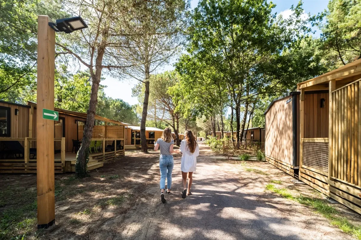 Camping Les Couleurs de la Coubre Poitou-Charentes - Les Mathes-La Palmyre visuel 3/4