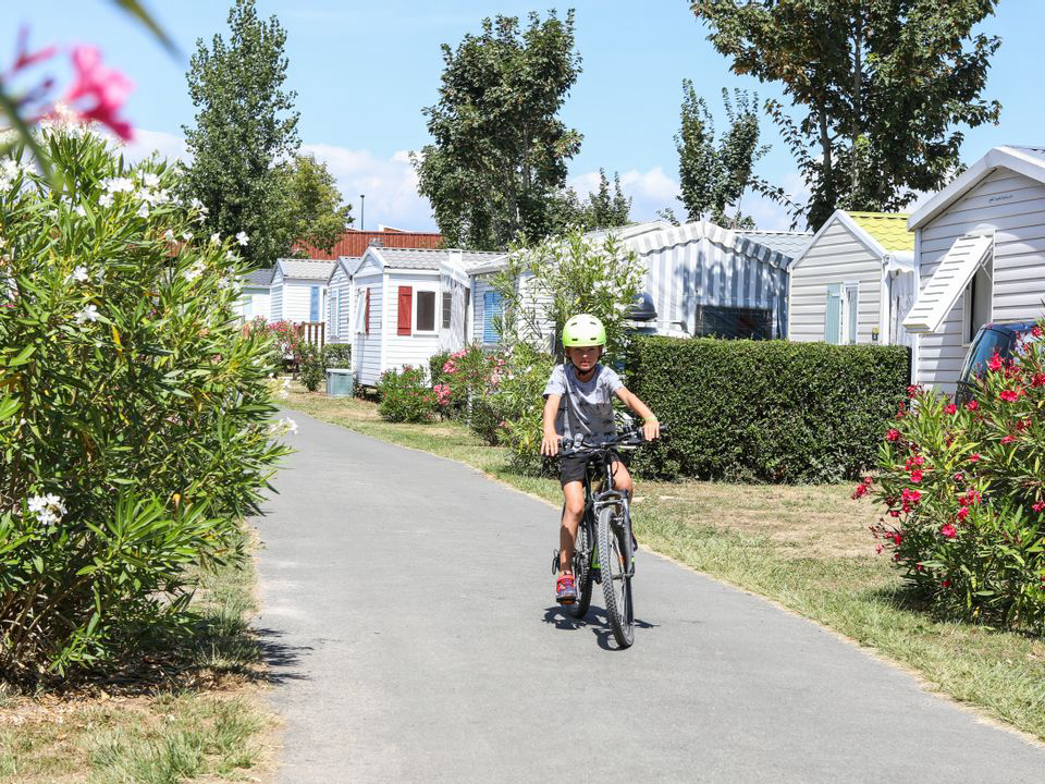 Les Dinosaures Pays de Loire - Talmont-Saint-Hilaire visuel 16/18