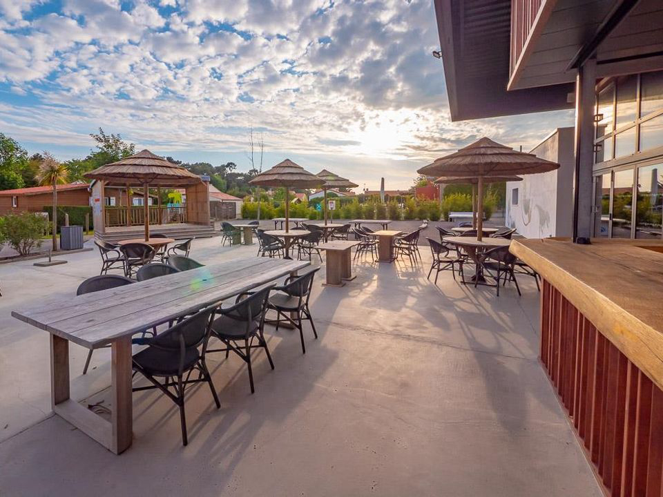 Les Dinosaures Pays de Loire - Talmont-Saint-Hilaire visuel 8/18