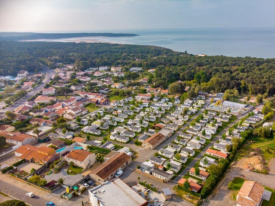 Les Dinosaures Pays de Loire - Talmont-Saint-Hilaire visuel 15/18