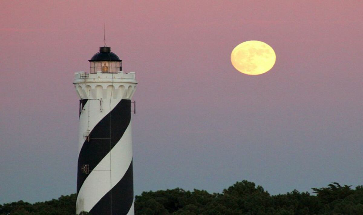Les Dunes de Contis Aquitaine - Saint-Julien-en-Born visuel 4/23