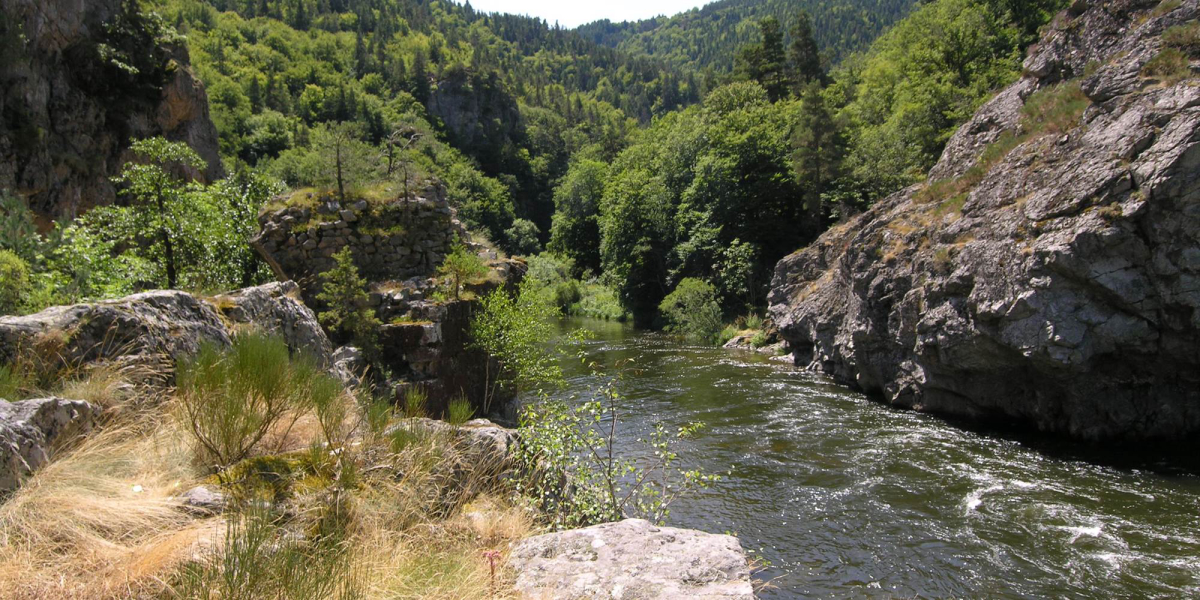 Les Eaux Vives Languedoc-Roussillon - Saint-Bonnet-de-Montauroux visuel 6/6