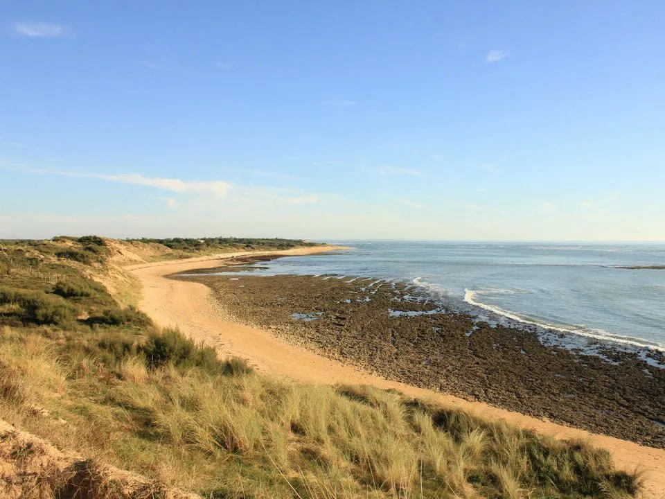 Camping Les Gros Joncs Poitou-Charentes - Saint-Georges-d'Oléron visuel 12/12