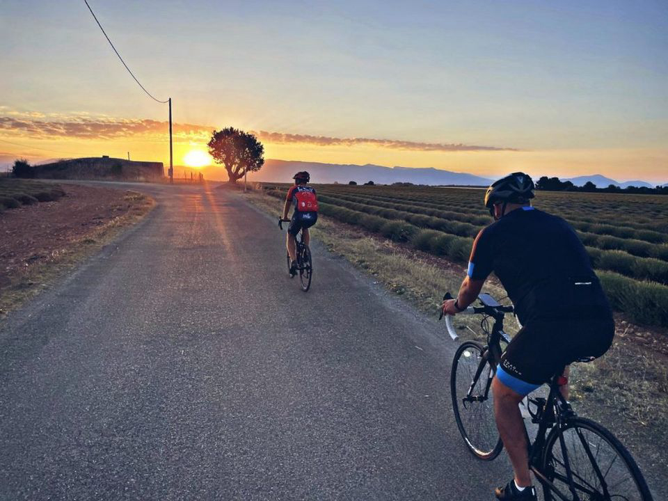 Les Lavandes Provence-Alpes-Côte d'Azur - Valensole visuel 3/4
