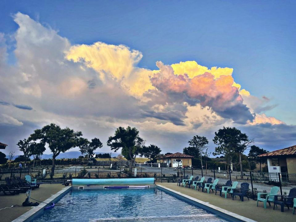 Les Lavandes Provence-Alpes-Côte d'Azur - Valensole visuel 4/4