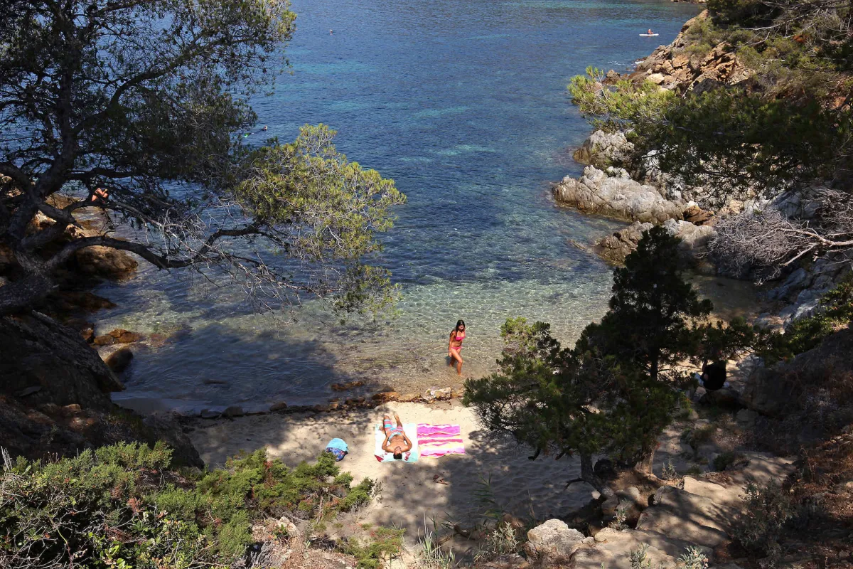 Camping Les Mimosas Provence-Alpes-Côte d'Azur - Le Lavandou visuel 10/14
