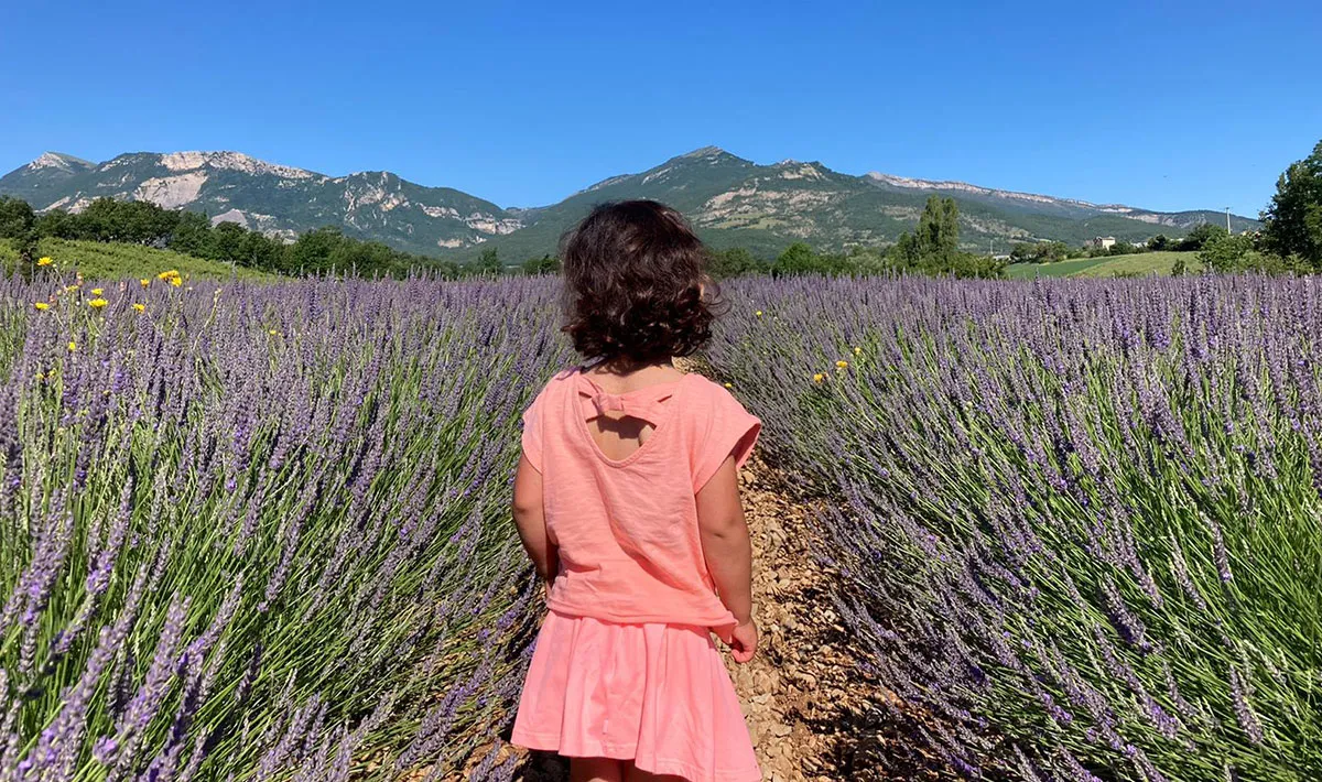Camping Les Myotis Provence-Alpes-Côte d'Azur - Sisteron visuel 7/17