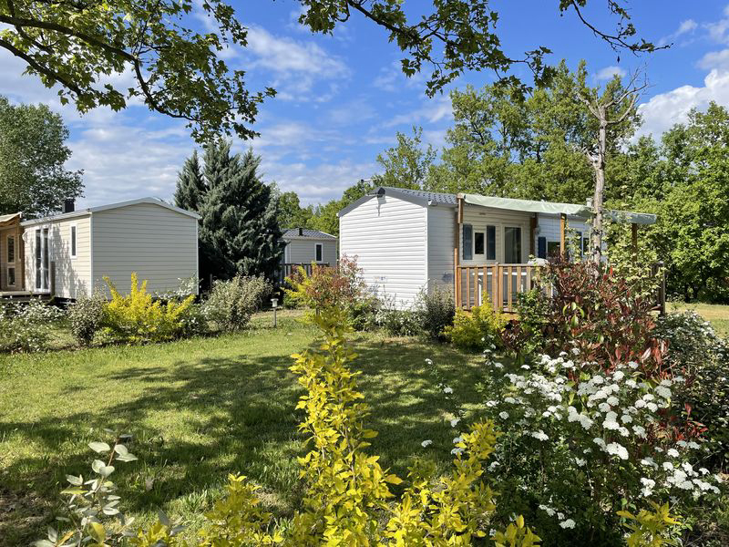 Les Myotis Provence-Alpes-Côte d'Azur - Sisteron visuel 1/17