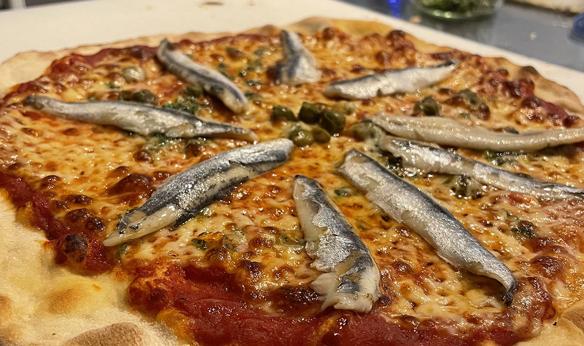 Les Myotis Provence-Alpes-Côte d'Azur - Sisteron visuel 11/17