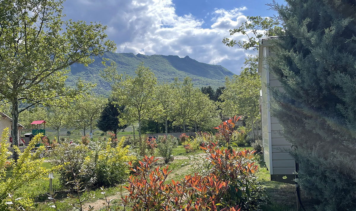 Les Myotis Provence-Alpes-Côte d'Azur - Sisteron visuel 9/17