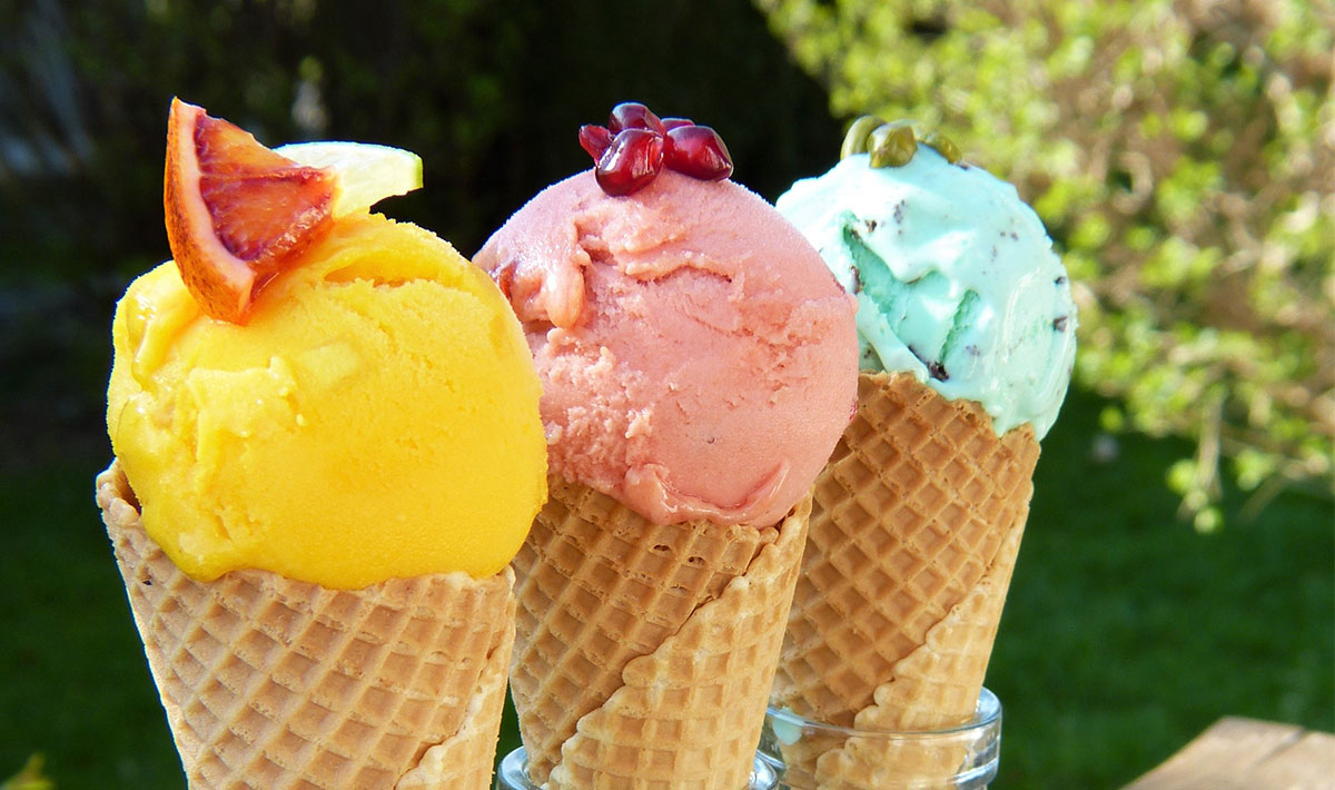 Les Myotis Provence-Alpes-Côte d'Azur - Sisteron visuel 2/17